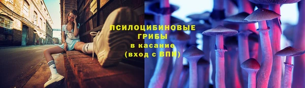 дмт Баксан