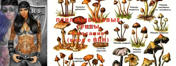 дмт Баксан