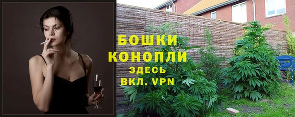 соль ск Балахна