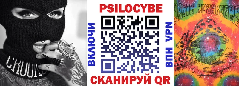 цена блэк спрут как зайти Псилоцибиновые грибы GOLDEN TEACHER Тутаев